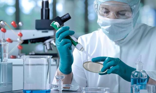 Bikin Geger Dunia, Temuan Patogen Kelelawar Ada di Lab Ukraina, Ini Isi Laporan Intelijen AS Soal Wuhan